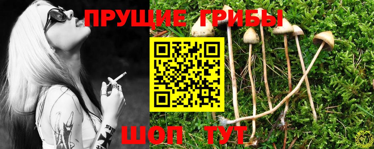 Псилоцибиновые грибы мухоморы  Псилоцибиновые грибы Magic Shrooms  Вход с VPN  Ноябрьск 